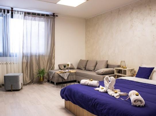 Center Cozy Apartment Subotica Dış mekan fotoğraf
